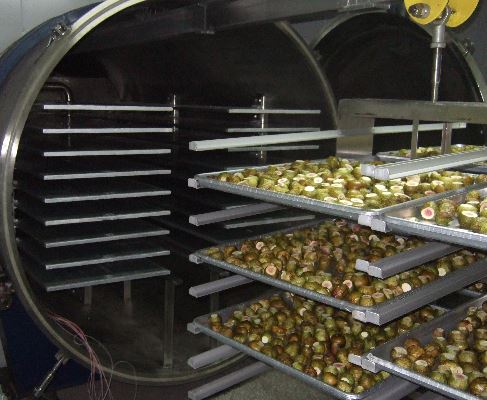 fruit freeze dryer price