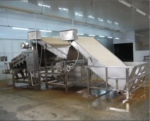 onion grading machine
