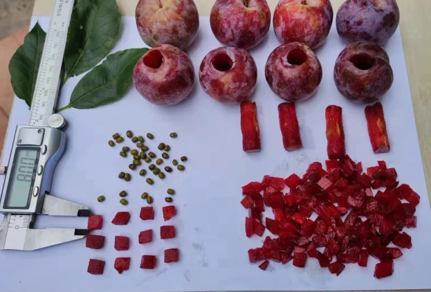 olives pitter