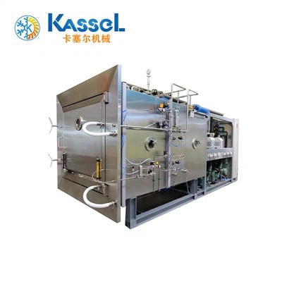 Ammattimainen ruoan jäätymiskuivauslaitteet