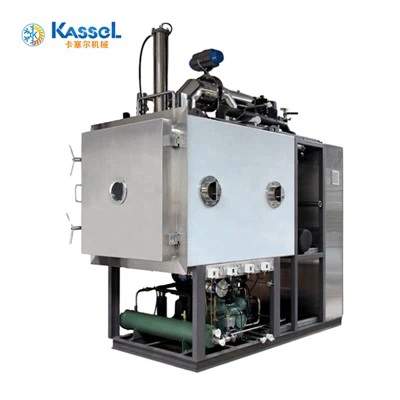 Ammattimainen laboratorio tyhjiö pakastekuivain